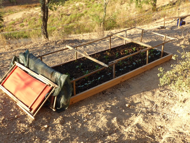 planter bed